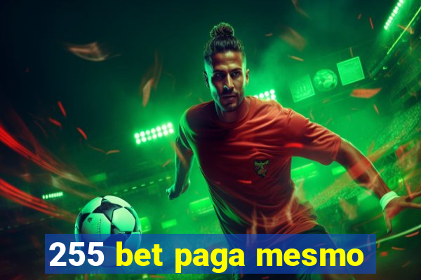 255 bet paga mesmo